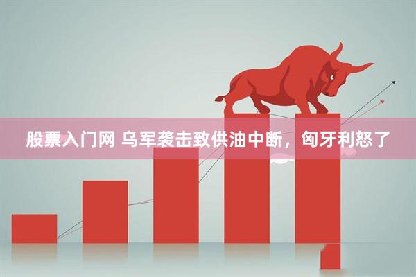 股票入门网 乌军袭击致供油中断，匈牙利怒了