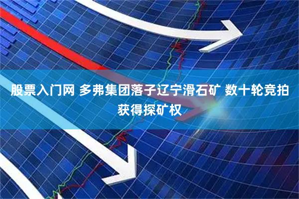股票入门网 多弗集团落子辽宁滑石矿 数十轮竞拍获得探矿权