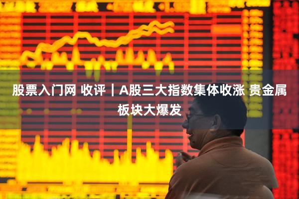 股票入门网 收评｜A股三大指数集体收涨 贵金属板块大爆发