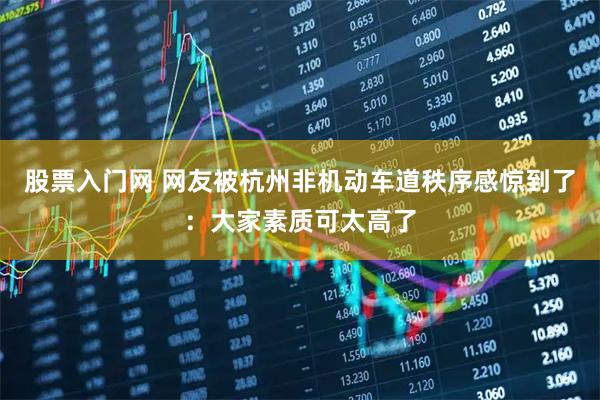 股票入门网 网友被杭州非机动车道秩序感惊到了：大家素质可太高了