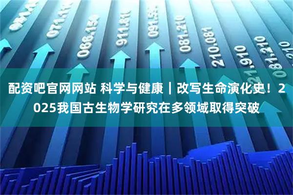 配资吧官网网站 科学与健康｜改写生命演化史！2025我国古生物学研究在多领域取得突破