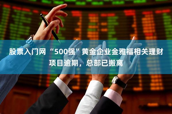 股票入门网 “500强”黄金企业金雅福相关理财项目逾期,总部已搬离